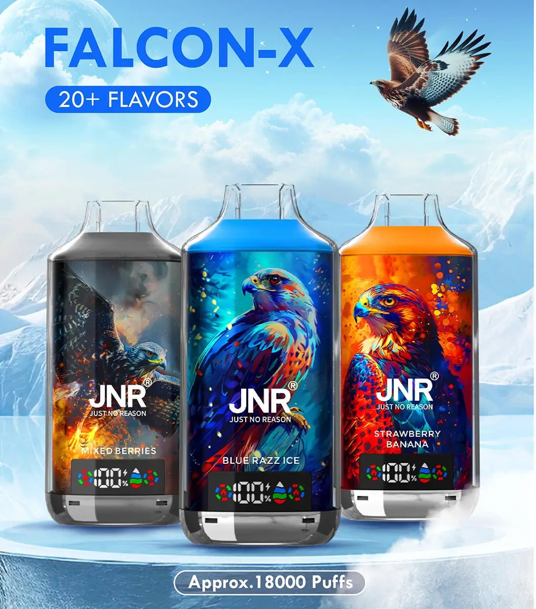 JNR Falcon-X18.000(NIC 2%) – Bild 4