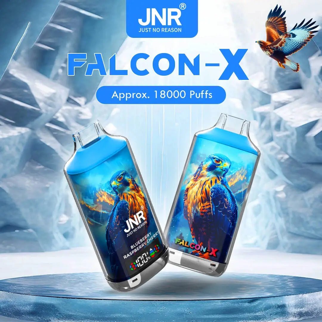 JNR Falcon-X18.000(NIC 2%) – Bild 5