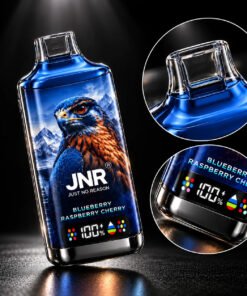 Alternative view of JNR Falcon 16.000(NIC 2%)