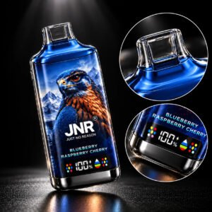 Alternative view of JNR Falcon 16.000(NIC 2%)